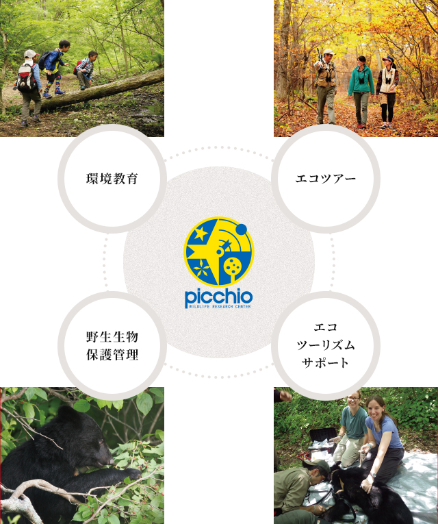 環境教育、野生生物・保護管理、エコツーリズムサポート、エコツアー