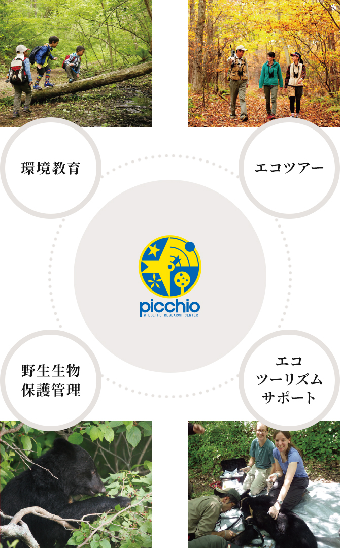 環境教育、野生生物・保護管理、エコツーリズムサポート、エコツアー